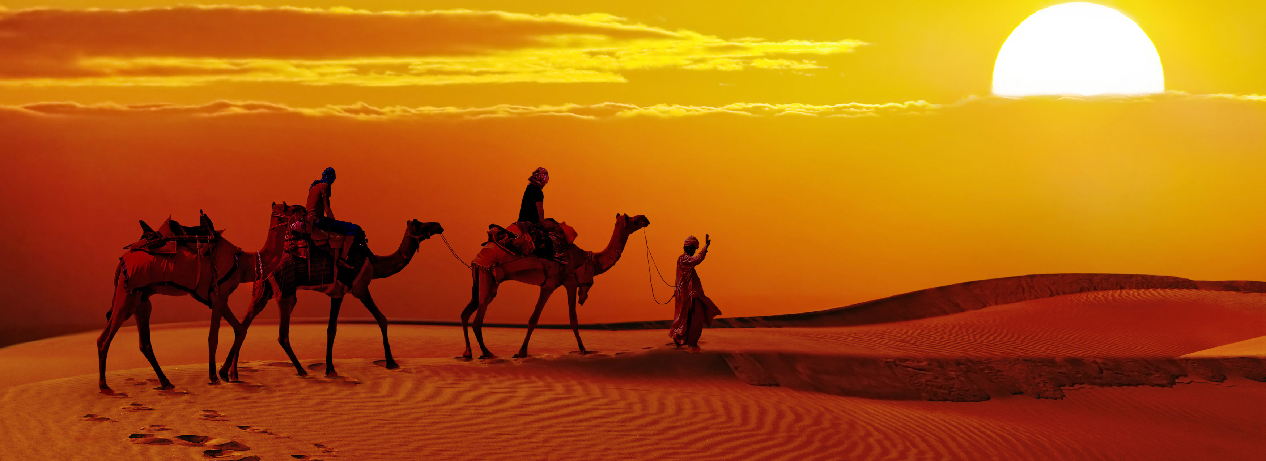 jaisalmer-tour